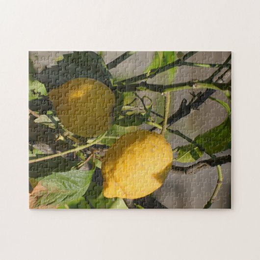 Puzzle Citrons frais sur un arbre (Horizontal)