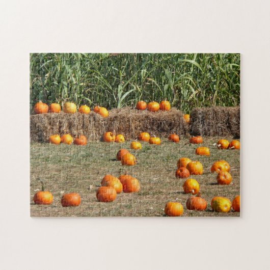 Puzzle Citrouille, Corn et Hay Automne de la récolte Phot (Horizontal)