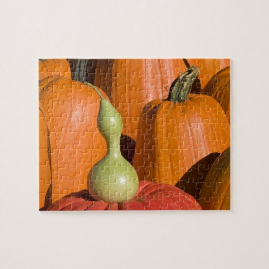 Puzzle Citrouille et gourd (Horizontal)