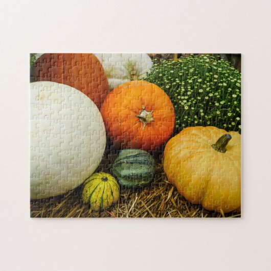 Puzzle Citrouille Et Gourdes (Horizontal)