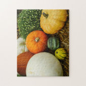 Puzzle Citrouille Et Gourdes (Vertical)