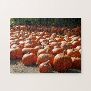Puzzle Citrouille Patch Automne Harvest Photographie