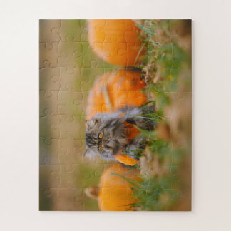 Puzzle Citrouille Patch Guardian 🎃 🐾