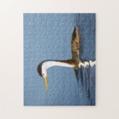 Puzzle Clark's Grebe Painting - Art original pour les ois (Vertical)