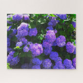 Puzzle classique violet réaliste Hydrangea (Horizontal)