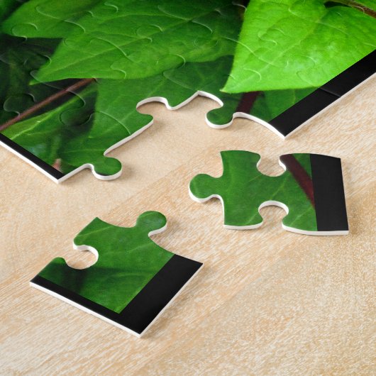 Puzzle Clematis (Côté)