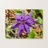 PUZZLE CLEMATIS (Horizontal)