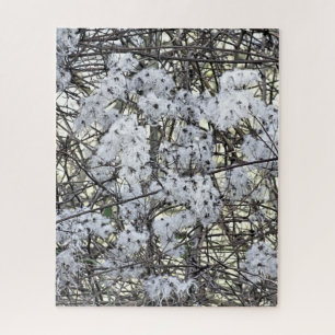 PUZZLE CLEMATIS