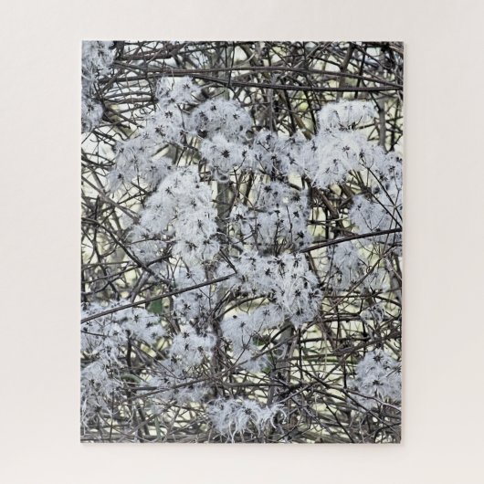 PUZZLE CLEMATIS (Vertical)