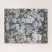 PUZZLE CLEMATIS (Horizontal)