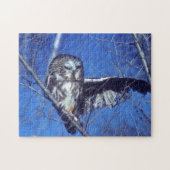 Puzzle Cligner de l'oeil le hibou (Horizontal)