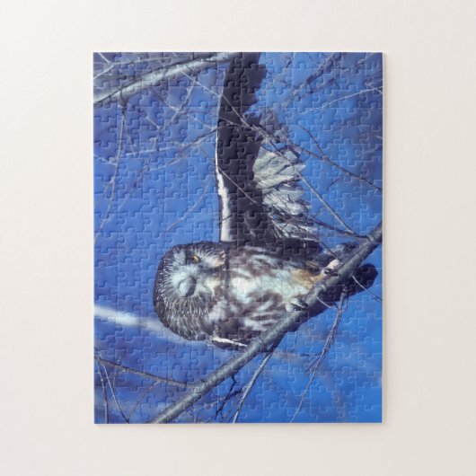 Puzzle Cligner de l'oeil le hibou (Vertical)