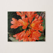 Puzzle Clivia Miniata - La Belle Fleur Orange (Horizontal)