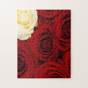Puzzle Close-up de rose