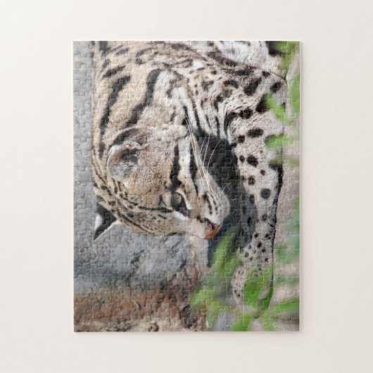 Puzzle Closeup d'ocelot (Vertical)
