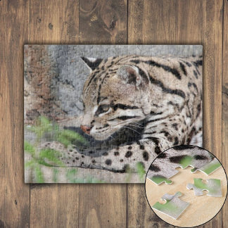 Puzzle Closeup d'ocelot