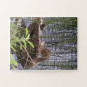 Puzzle Closeup photo of a duck (Horizontal)