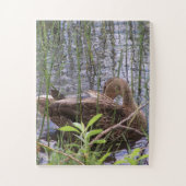 Puzzle Closeup photo of a duck (Vertical)