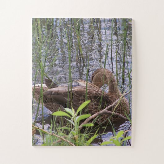 Puzzle Closeup photo of a duck (Vertical)