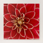Puzzle Closeup rouge clair Dahlia (Horizontal)