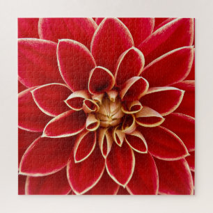 Puzzle Closeup rouge clair Dahlia