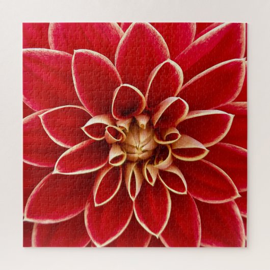 Puzzle Closeup rouge clair Dahlia (Vertical)