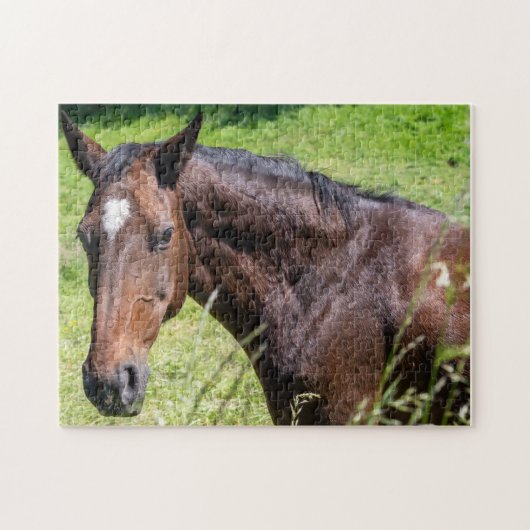 Puzzle Closeuse de Chestnut Horse (Horizontal)