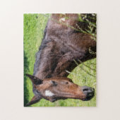 Puzzle Closeuse de Chestnut Horse (Vertical)