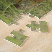 Puzzle Closeuse d'ours, Brooks Falls Alaska (Côté)