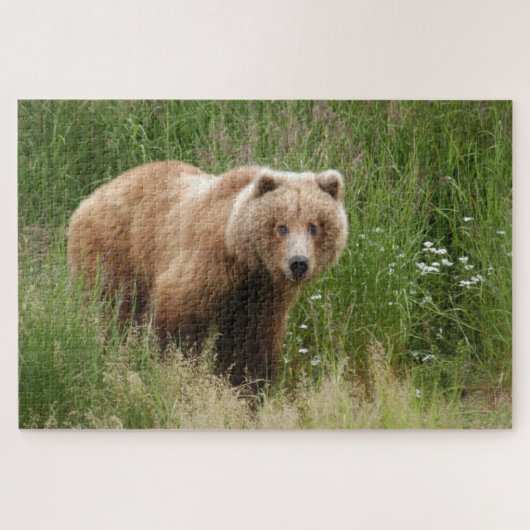 Puzzle Closeuse d'ours, Brooks Falls Alaska (Horizontal)