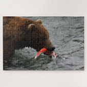 Puzzle Closeuse d'ours, Brooks Falls Alaska (Horizontal)