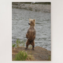 Closeuse d'ours, Brooks Falls Alaska