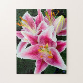 Puzzle Closeuse Lily Orientale en pleine floraison (Vertical)