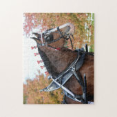 Puzzle Clydesdale (Vertical)
