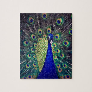 Puzzle Cobalt Blue Peacock
