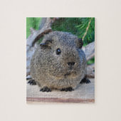 Puzzle Cobaye (Vertical)