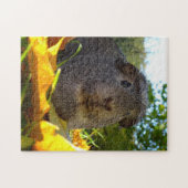 Puzzle Cobaye mignon en nature (Horizontal)