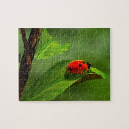 Puzzle Coccinelle