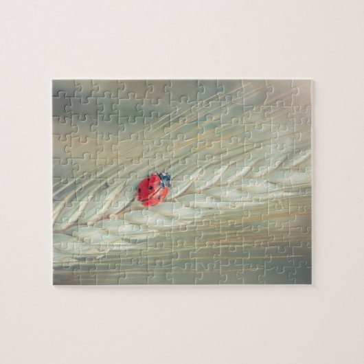 Puzzle Coccinelle (Horizontal)