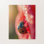 Puzzle Coccinelle en macro sur une fleur (Vertical)