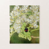 Puzzle Coccinelle noire (Vertical)
