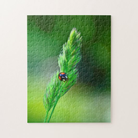 Puzzle Coccinelle noire en route.... (Vertical)