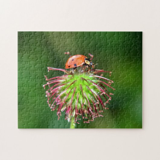 Puzzle Coccinelle sur fleur (Horizontal)