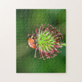 Puzzle Coccinelle sur fleur (Vertical)