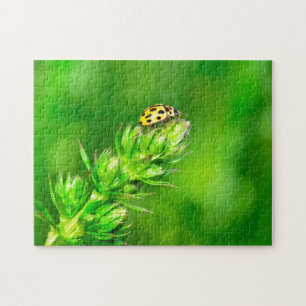 Puzzle Coccinelle tout en haut !