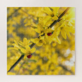 Puzzle Coccinelles sur branche de Forsythia jaune (Horizontal)