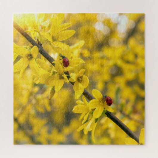 Puzzle Coccinelles sur branche de Forsythia jaune (Vertical)