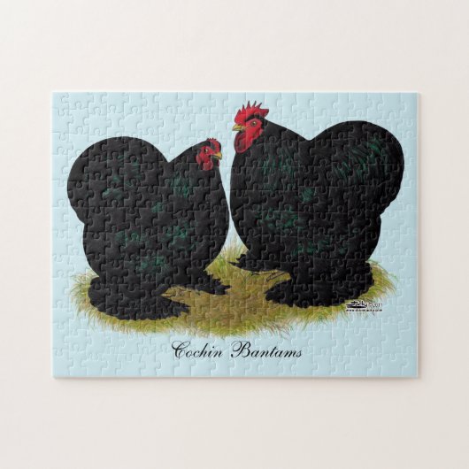 Puzzle Cochins Black Bantam paire (Horizontal)