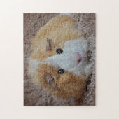 Puzzle Cochon de Guinée rouge et blanc (Vertical)