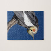 Puzzle Cockatiel (Horizontal)